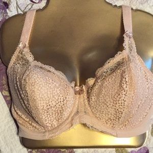 5000 Goddess Michelle Bra